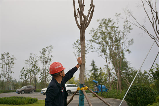 AG8�콢����(�й�)����