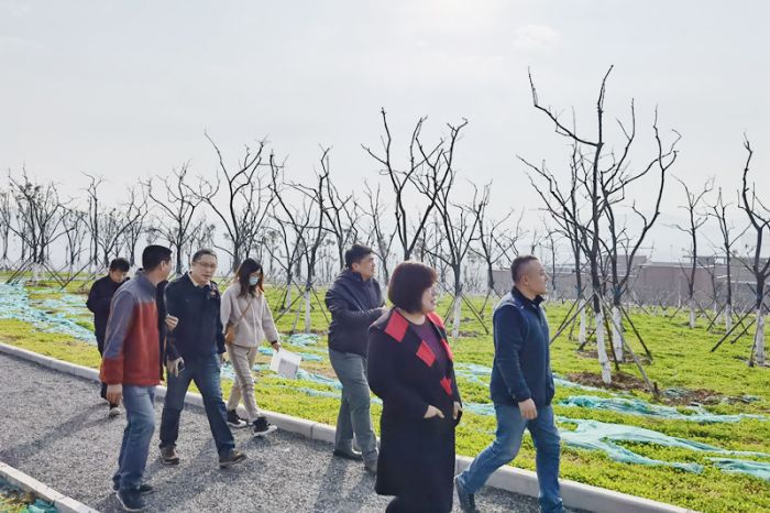 AG8�콢����(�й�)����