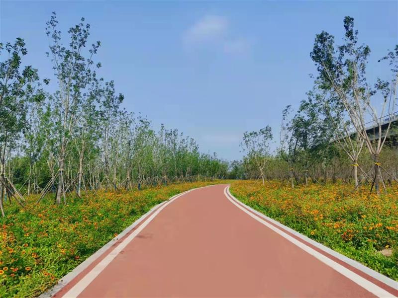 AG8�콢����(�й�)����