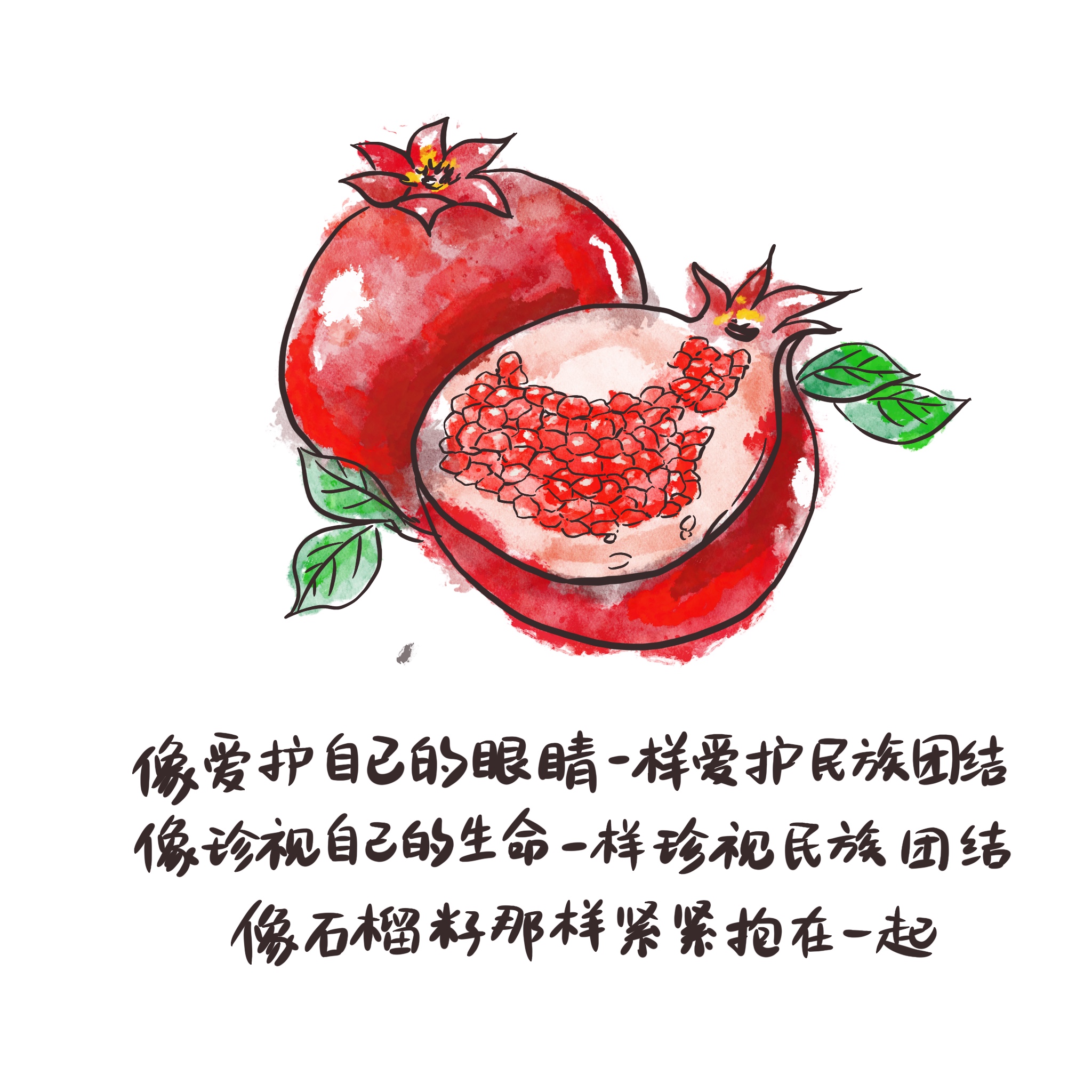 AG8�콢����(�й�)����