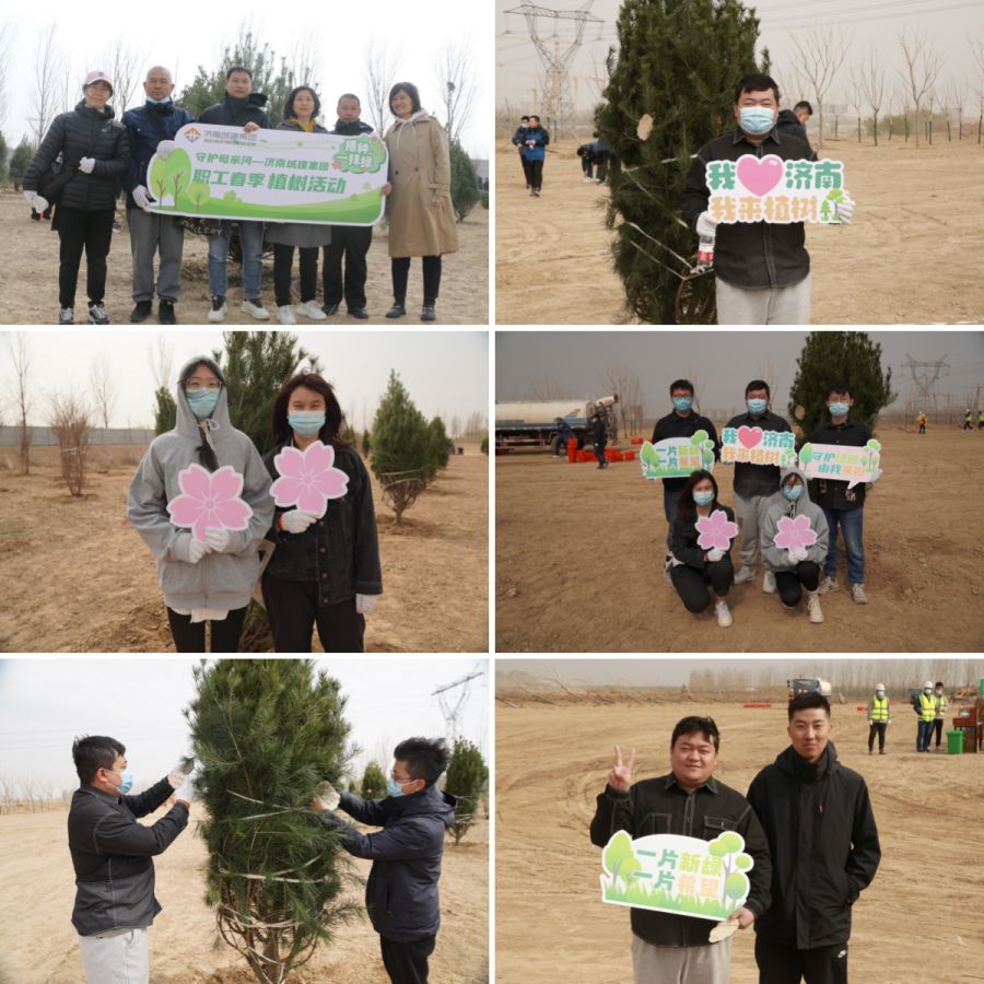 AG8�콢����(�й�)����