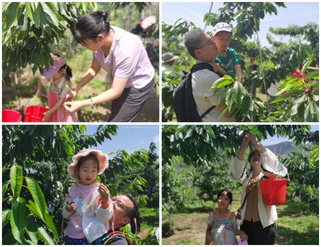 AG8Æì½¢Ìü¡¤(Öйú)¼¯ÍÅ