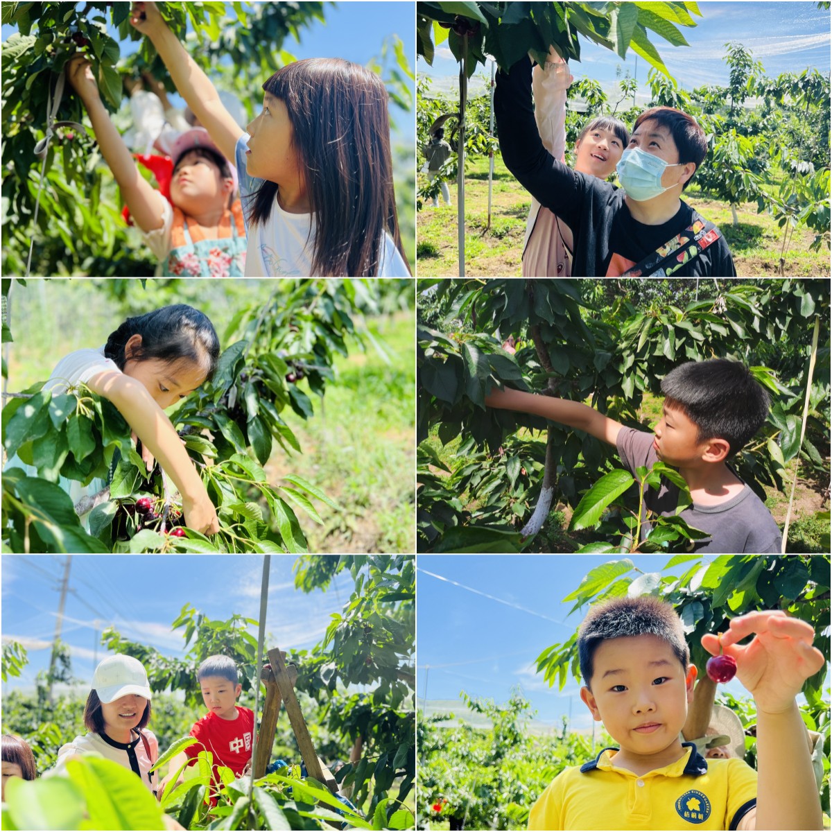 AG8Æì½¢Ìü¡¤(Öйú)¼¯ÍÅ