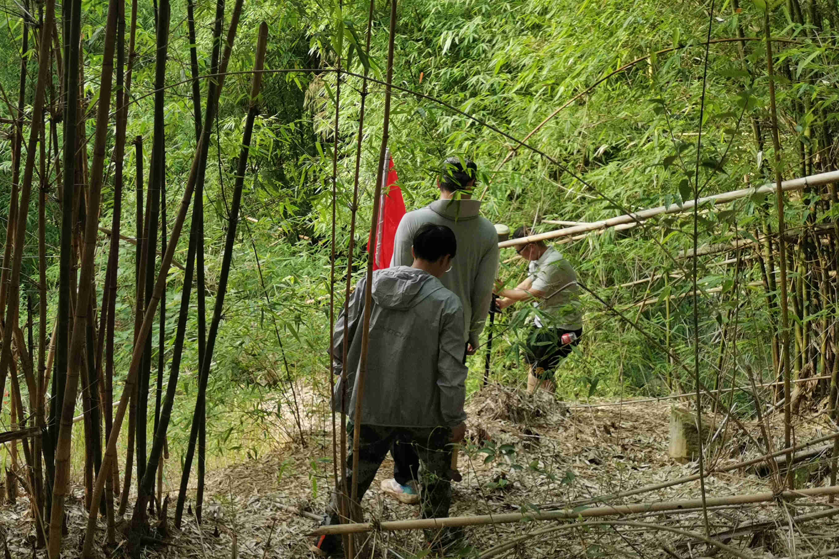 AG8�콢����(�й�)����