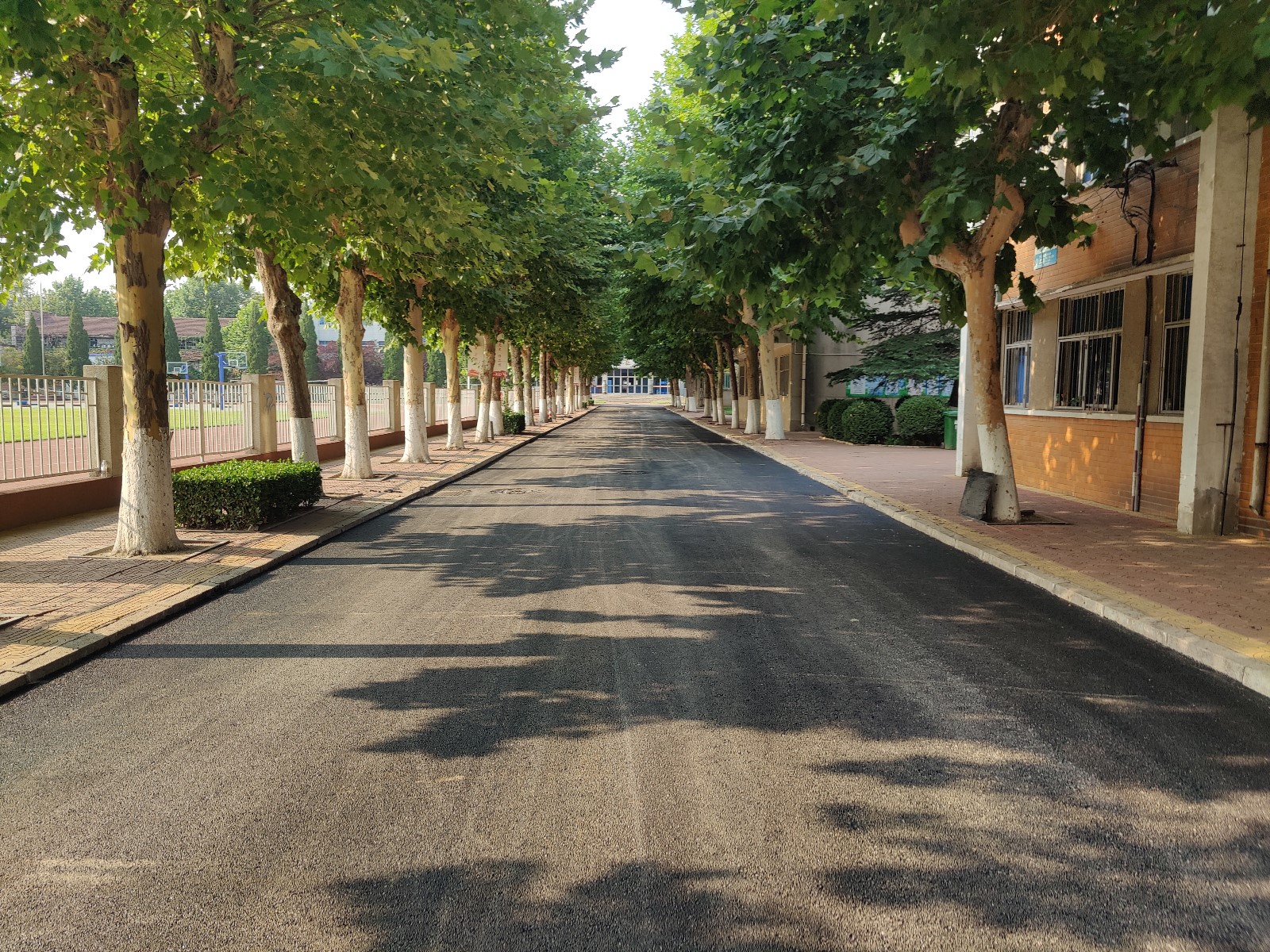 AG8�콢����(�й�)����