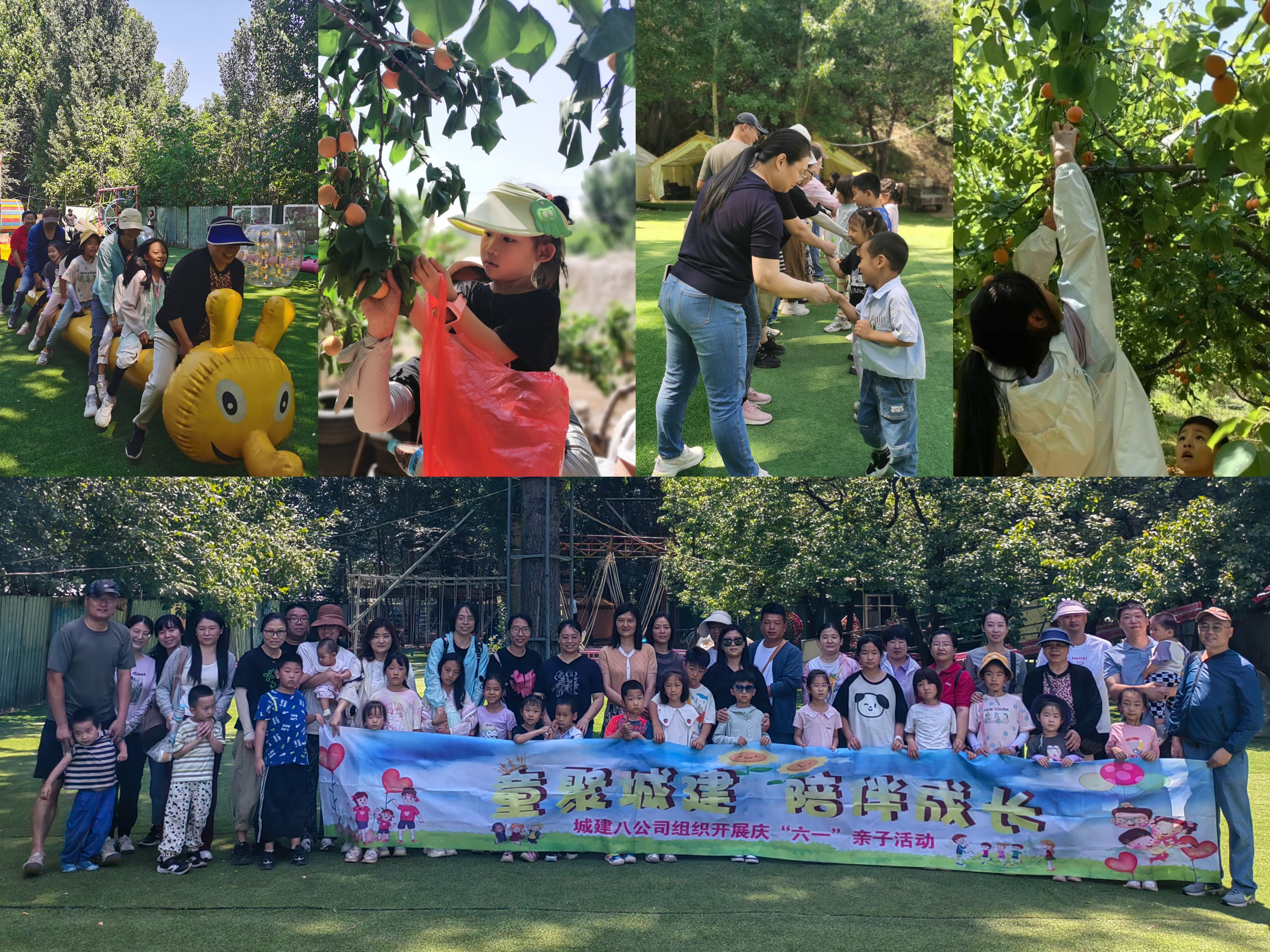 AG8�콢����(�й�)����