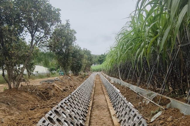 AG8�콢����(�й�)����