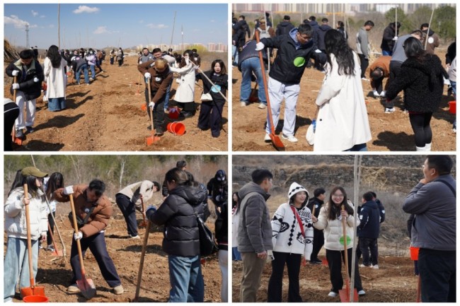 AG8�콢����(�й�)����