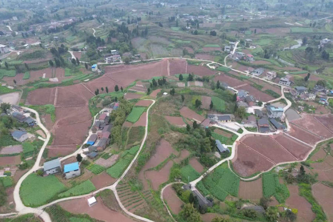 AG8�콢����(�й�)����