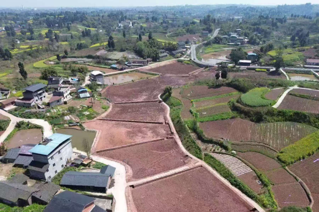 AG8�콢����(�й�)����