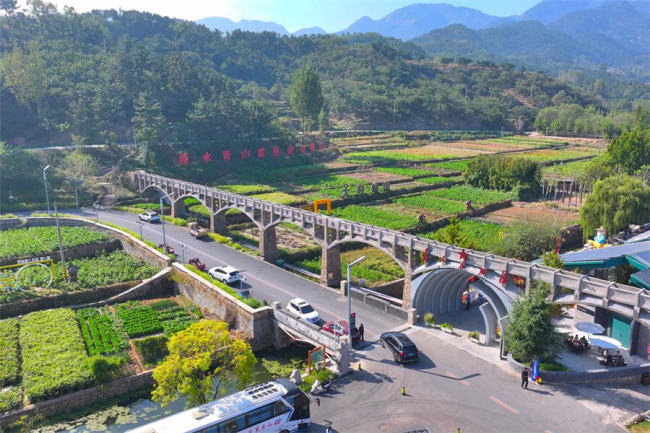 AG8�콢����(�й�)����