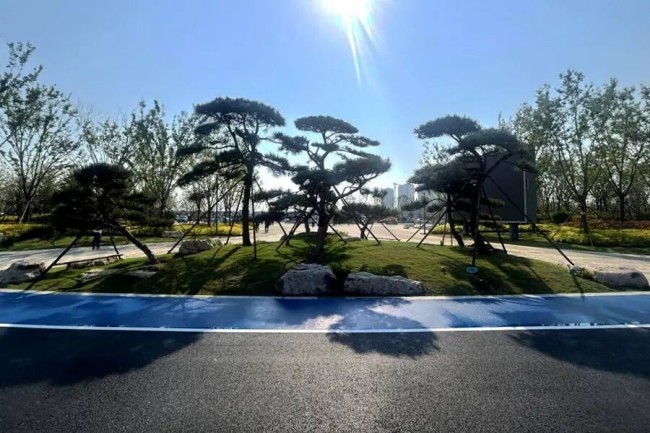 AG8�콢����(�й�)����