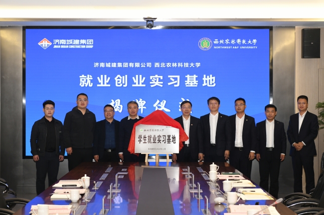 AG8�콢����(�й�)����