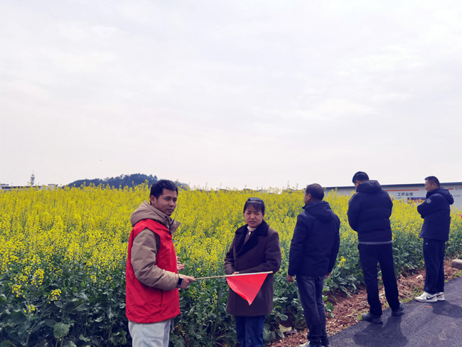 AG8�콢����(�й�)����