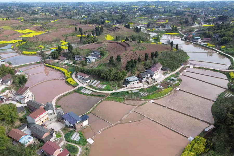 AG8�콢����(�й�)����