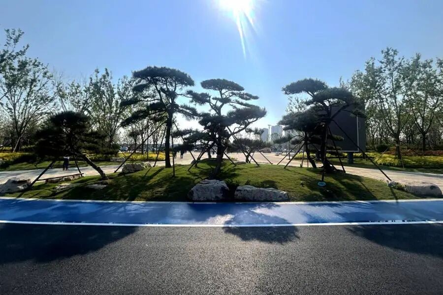 AG8�콢����(�й�)����