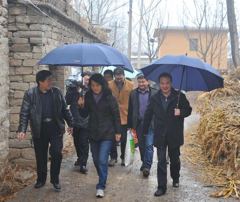 AG8�콢����(�й�)����