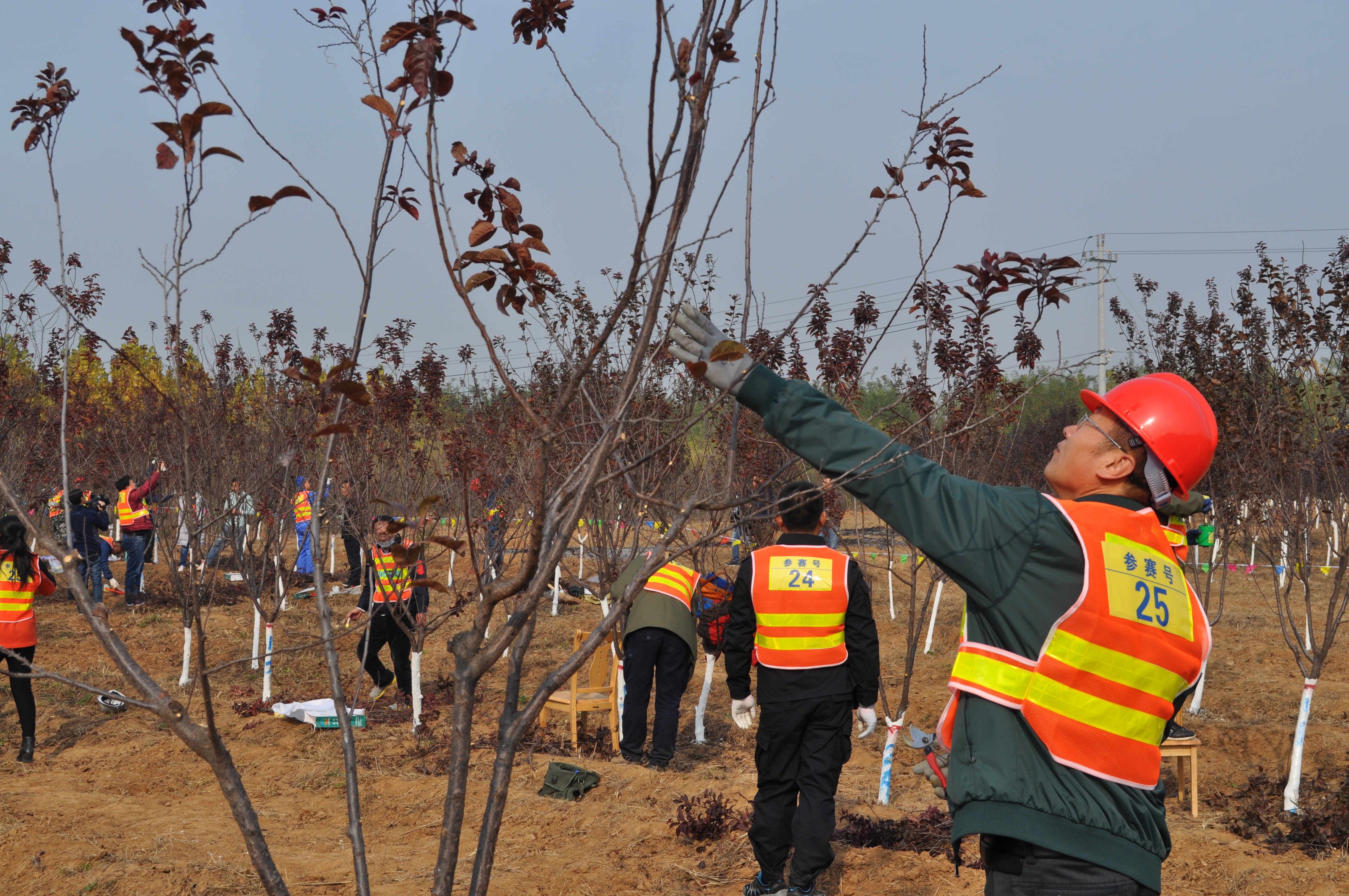 AG8旗舰厅·(中国)集团