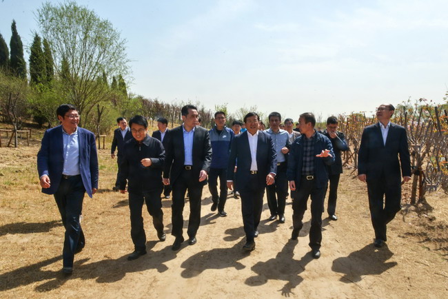 AG8�콢����(�й�)����