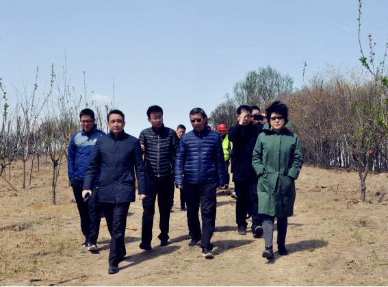 AG8�콢����(�й�)����