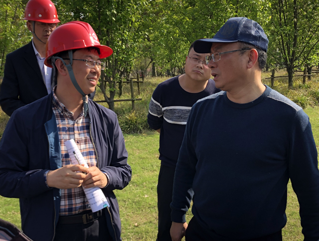 AG8�콢����(�й�)����