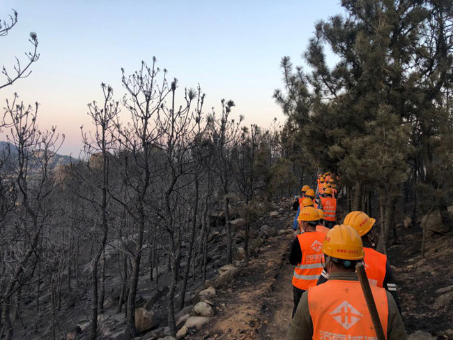 AG8�콢����(�й�)����