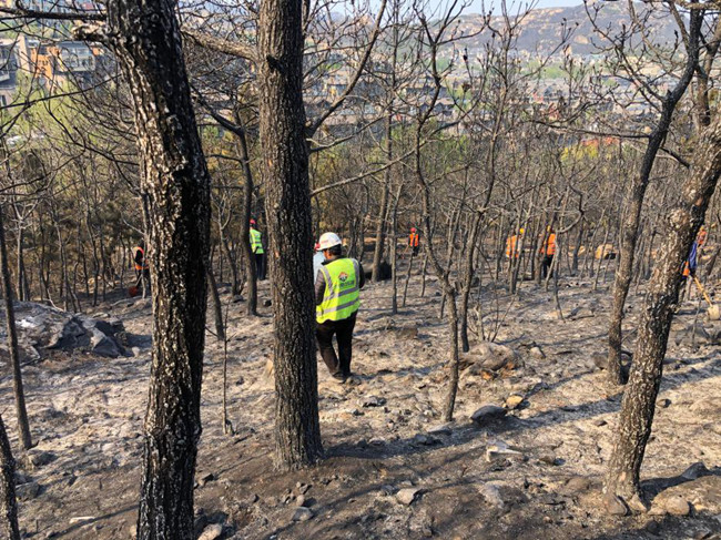 AG8�콢����(�й�)����