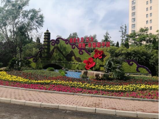 AG8�콢����(�й�)����