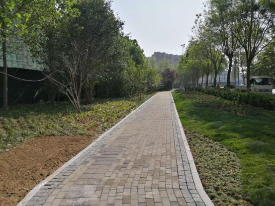 AG8�콢����(�й�)����