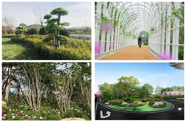 AG8�콢����(�й�)����