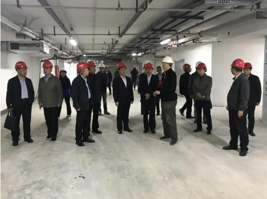 AG8�콢����(�й�)����