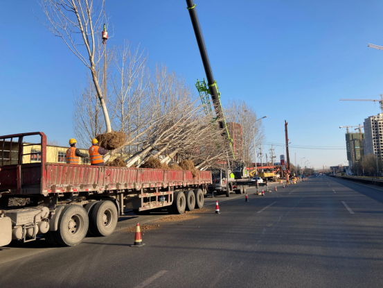 AG8�콢����(�й�)����