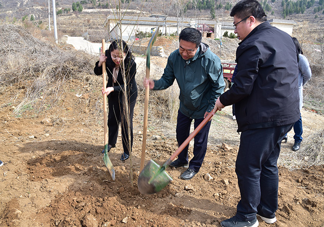 AG8�콢����(�й�)����