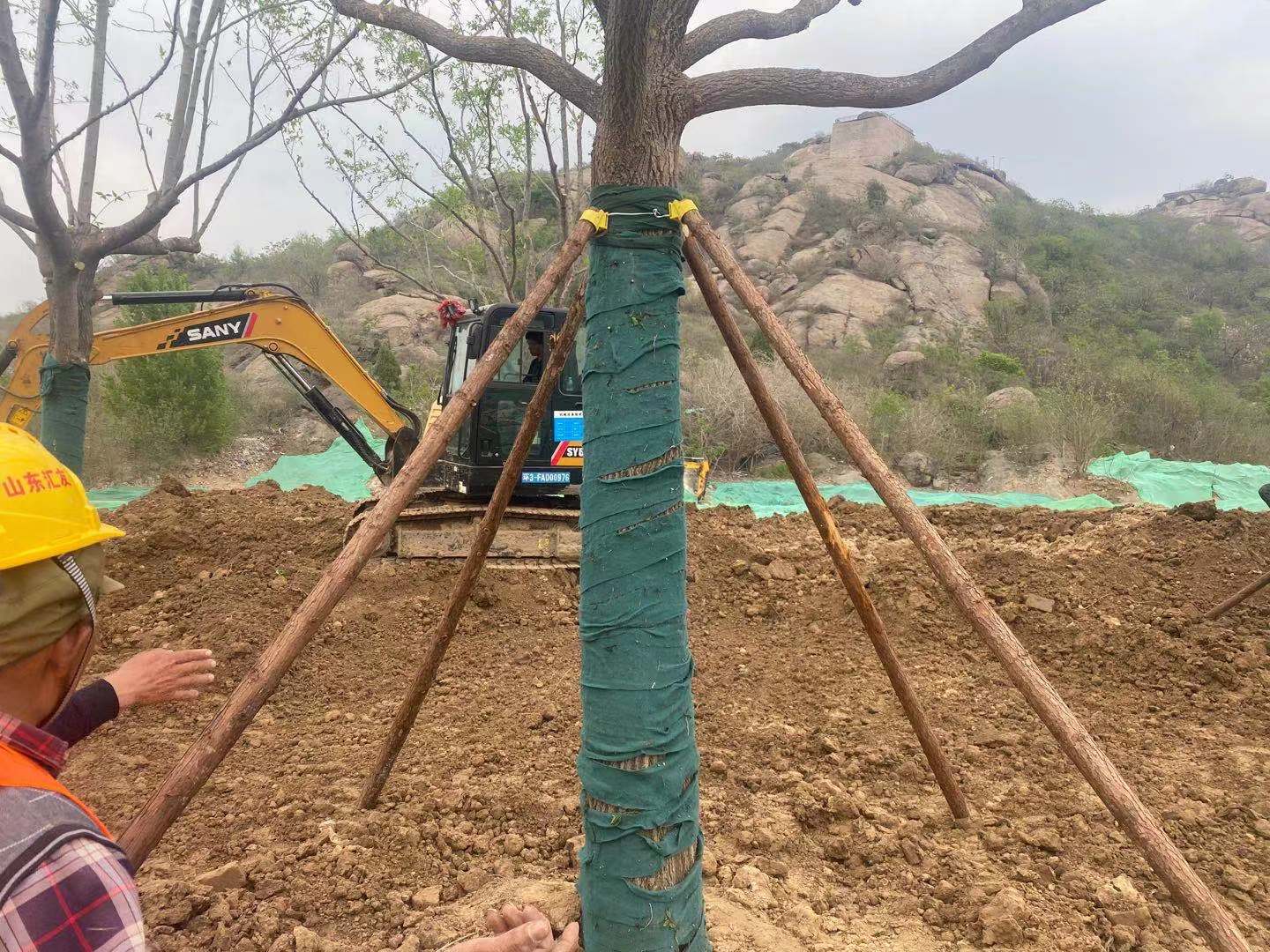 AG8�콢����(�й�)����