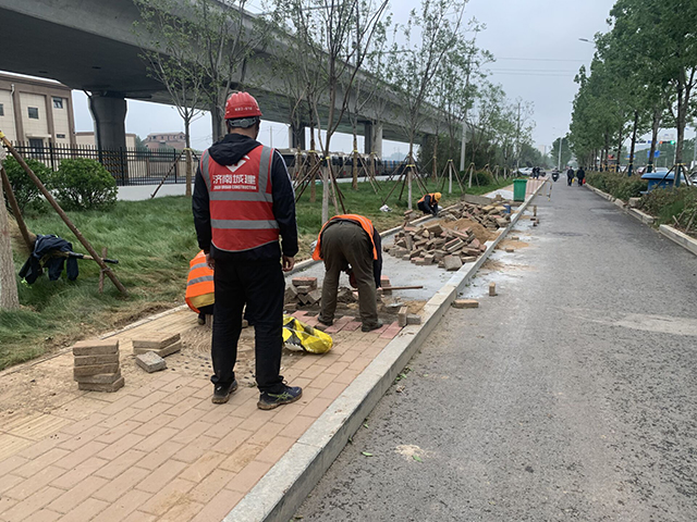 AG8�콢����(�й�)����